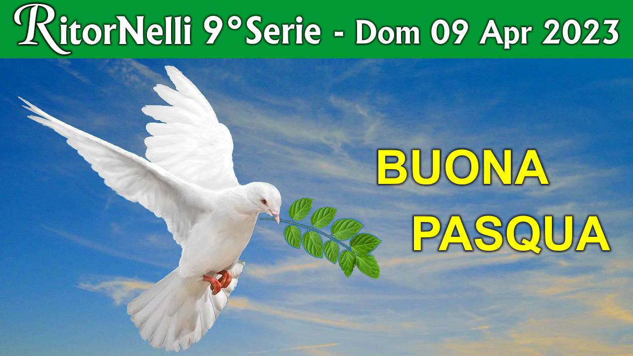 Trasmissione RitorNelli